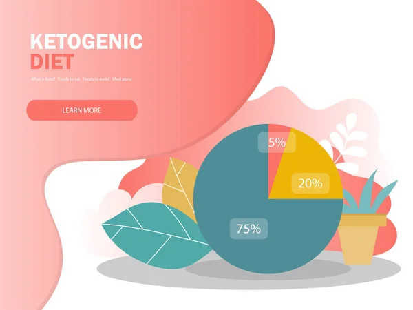 Ketogenic diyet makrolar diyagramı, düşük karbonhidrat, yüksek sağlıklı yağ vektör çizim — Stok Vektör