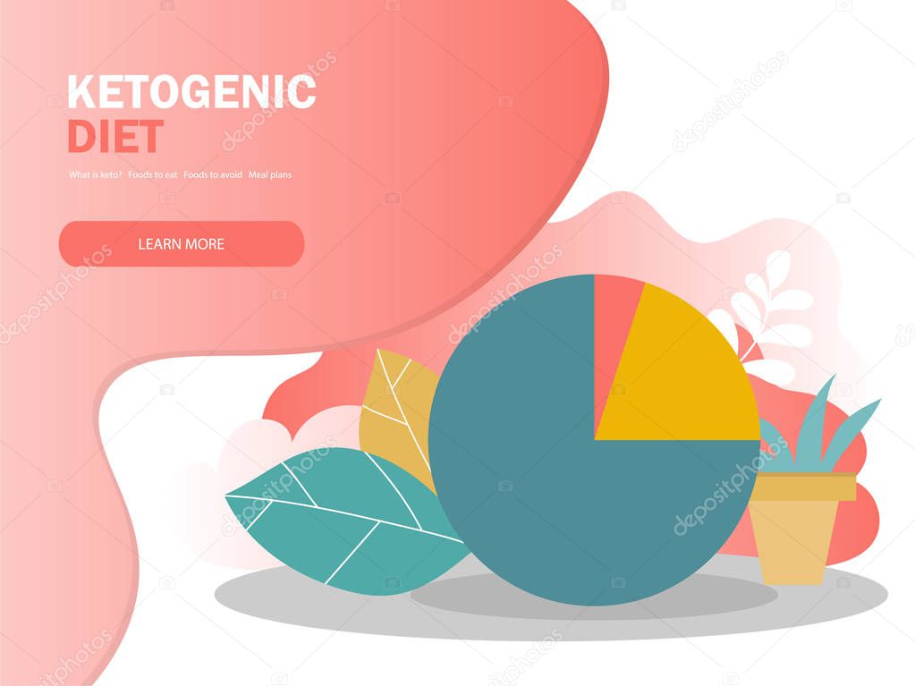 ketogenic diet macros diagram, low carbs, high healthy fat vector illustration