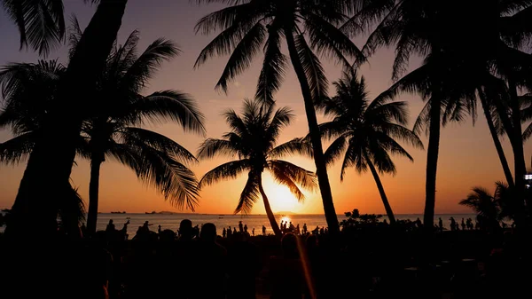 Paysage de coucher de soleil. coucher de soleil sur la plage. silhouette de palmiers sur plage tropicale coucher de soleil — Photo
