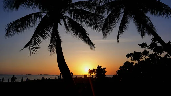 Paysage de coucher de soleil. coucher de soleil sur la plage. silhouette de palmiers sur plage tropicale coucher de soleil — Photo