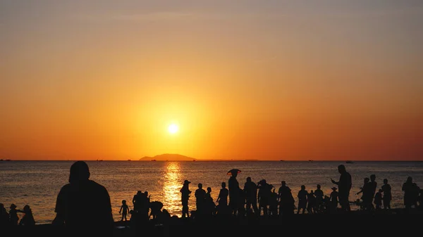 Paysage de coucher de soleil. coucher de soleil sur la plage. silhouette de palmiers sur plage tropicale coucher de soleil — Photo