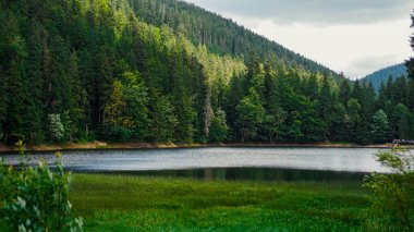 Dağları, ormanı ve önünde bir nehri olan bir manzara. Güzel manzara.