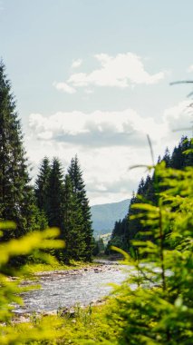 Dağları, ormanı ve önünde bir nehri olan bir manzara. Güzel manzara.
