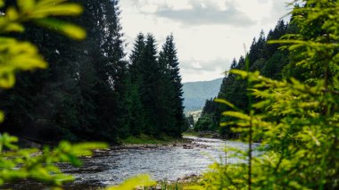 Dağları, ormanı ve önünde bir nehri olan bir manzara. Güzel manzara.