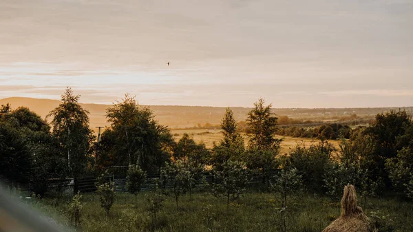 Beau paysage d'été au coucher du soleil. Village en Ukraine — Photo