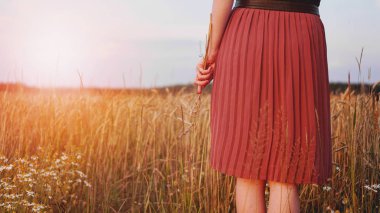 Buğday tarlasında kadın, elinde buğday kulağı tutuyor