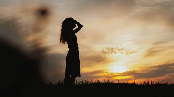 Силуэт молодой женщины, стоящей на сухом травяном поле на закате — стоковое фото
