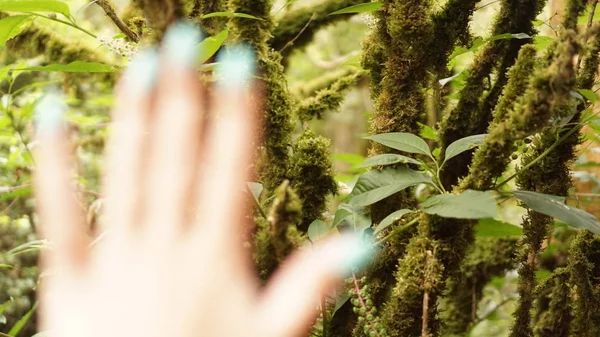 Close up of explorer female hand in green forest. Survival travel, lifestyle