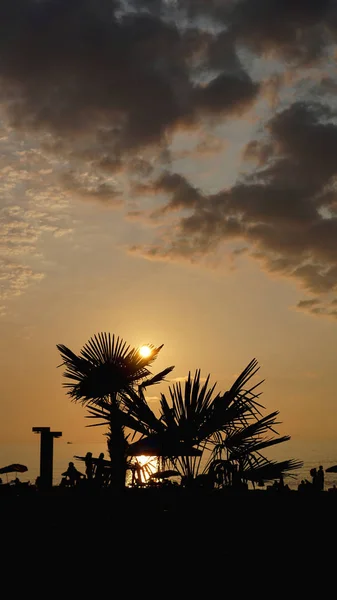 日没の風景。ビーチサンセット。夕暮れ時のヤシの木のシルエット熱帯ビーチ — ストック写真