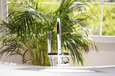 Modern banyo. Yeşil palmiye dalları ile beyaz banyo