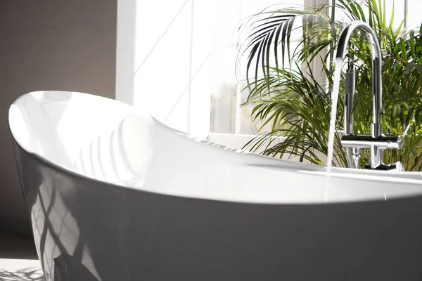 Salle de bain moderne. Bain blanc avec branches de palmier vert — Photo