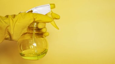 Sarı lastik eldiven içinde plastik sprey şişeyi temizleme deterjanıyla tutarken.