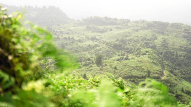 Dağ vadisinde yeşil bir açıklık