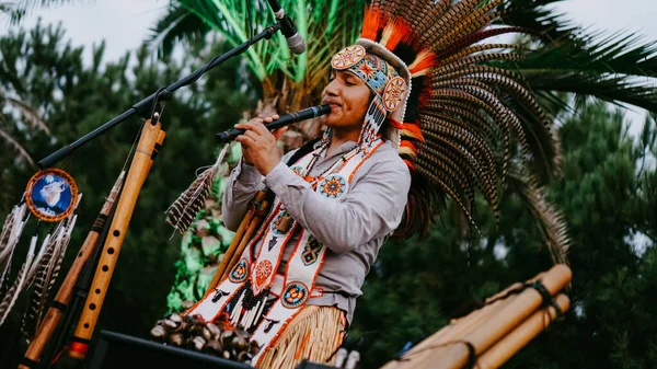 01.09.2019 - Batumi, Georgia Instrumento folclórico de estilo indio - performance pública — Foto de Stock