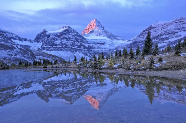 Monte Assiniboine Refletido Lagoa Amanhecer Parque Provincial Monte Assiniboine Canadá — Fotografia de Stock