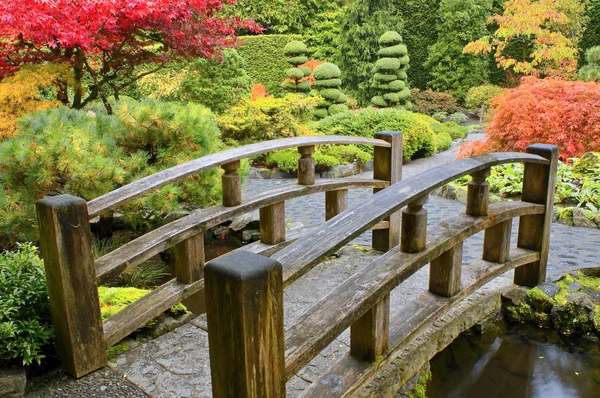 Petit Pont Dessus Ruisseau Dans Jardin Japonais Automnal Butchart Gardens — Photo