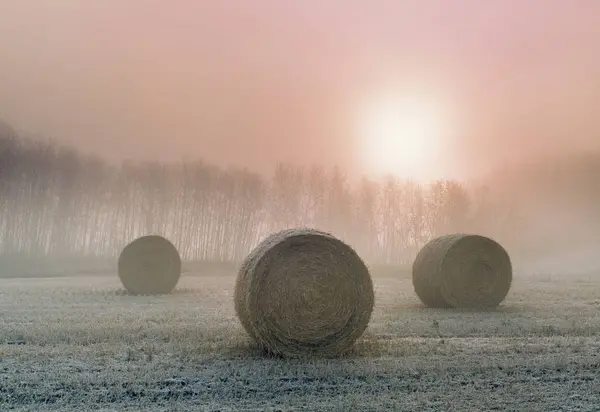 Hay Bales Frost Sunrise Holland Manitoba Canada — Stock Photo, Image