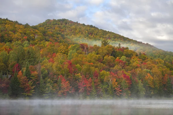 Folhagem Outonal Floresta Pelo Lago Renaud Laurentians Perto Morin Heights — Fotografia de Stock