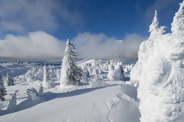 Снежные Призраки Горнолыжном Курорте Sun Peaks Драматических Зимних Пейзажах Недалеко — стоковое фото