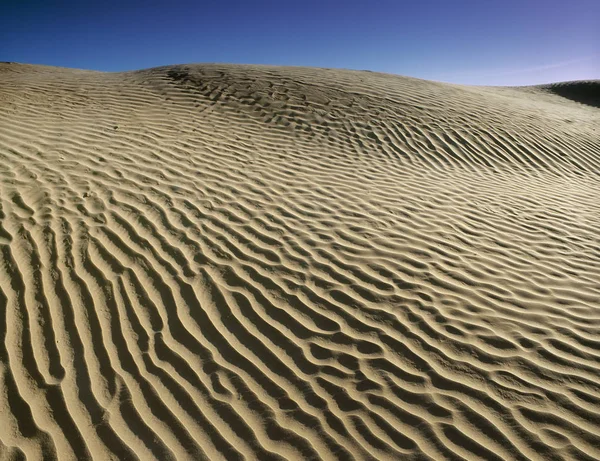 Modèle Naturel Ondulé Dunes Sable Dans Les Great Sandhills Près — Photo