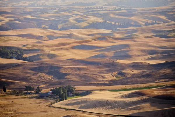 Fields Farmland Palouse Region Eastern Washington State Usa — Stock Photo, Image