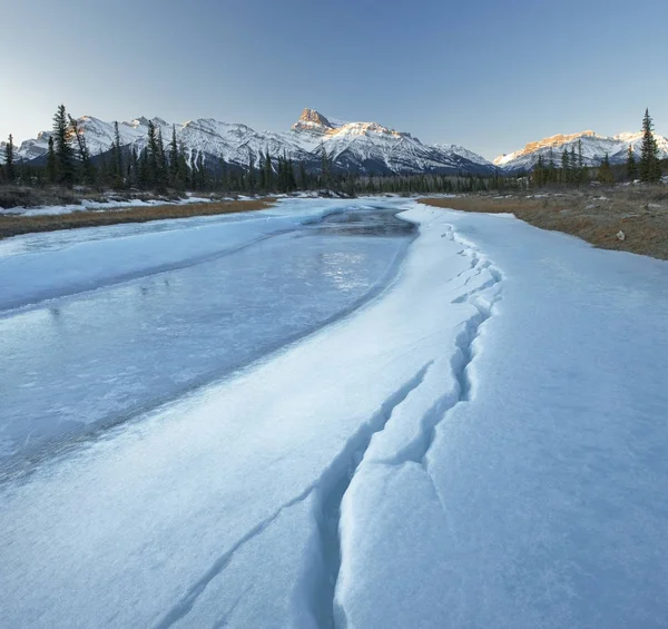 Rivière Saskatchewan Nord Hiver Avec Mont Peskett Dans Plaine Kootenay — Photo