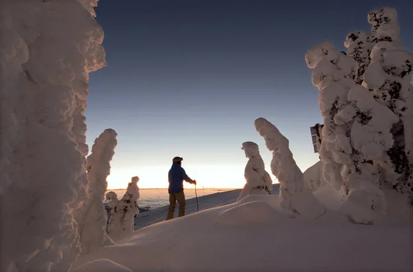 Skier Snow Ghosts Create Beautiful Environment Sunrise Top Sun Peaks — Stock Photo, Image