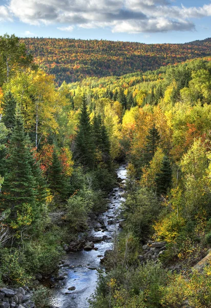 Gebirgsfluss Wald Herbstlichen Laub Petite Riviere Saint Francois Charlevoix Quebec — Stockfoto