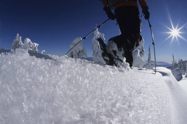 加拿大不列颠哥伦比亚省罗斯兰红山背乡的遥测滑雪者低角度视角 — 图库照片