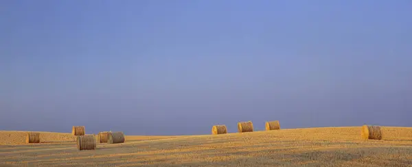 Bales Field Cochrane Alberta Canada — Stock Photo, Image