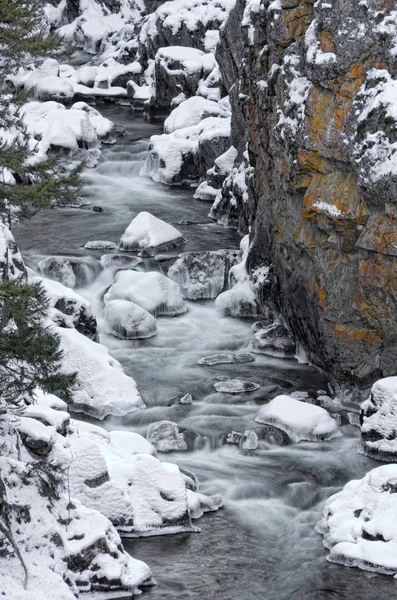 Snowy Creek Canyon Manning Park British Columbia Canada — Stock Photo, Image