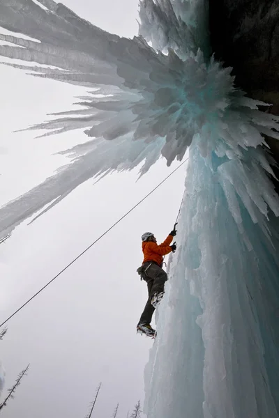 Jovem Escalada Gelo Banff National Park Perto Banff Alberta Canadá — Fotografia de Stock