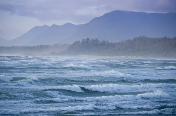 Wickaninnish Beach Pacific Rim National Park Tofino Canada — стоковое фото