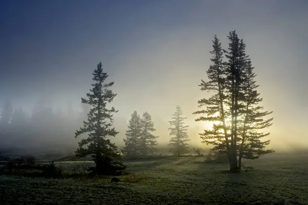 Misty Sunrise Junction Sheep Range Provincial Park British Columbia Canadá —  Fotos de Stock