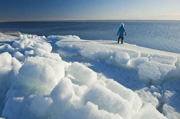 Bir Adam Eriyen Buza Bakar Winnipeg Gölü Boyunca Manitoba Kanada — Stok fotoğraf