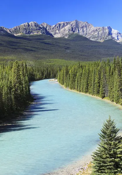 Água Aquamarina Rio Bow Parque Nacional Banff Alberta Canadá — Fotografia de Stock