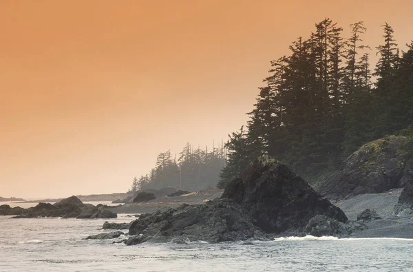 海岸線と夕日 クレイオコット サウンド バンクーバー島 ブリティッシュ コロンビア州 カナダで木のシルエット — ストック写真