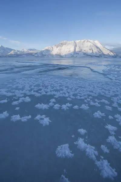 Κρύσταλλοι Πάγου Παγωμένη Επιφάνεια Της Kluane Λίμνης Πρόβατα Στο Βουνό — Φωτογραφία Αρχείου