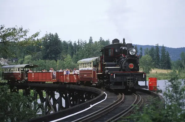 Cowichan Valley Forestry Center Stoomtrein Met Bezoekers Vancouver Island British — Stockfoto