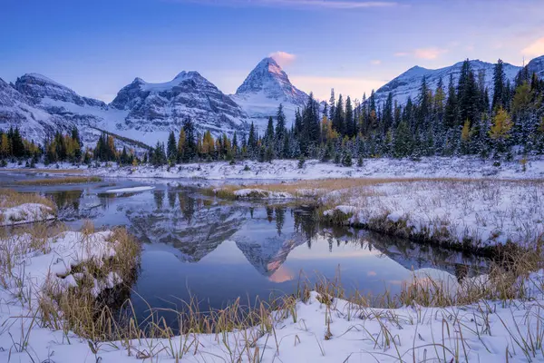 Montanhas Cobertas Neve Refletindo Água Parque Provincial Mount Assiniboine Colúmbia — Fotografia de Stock