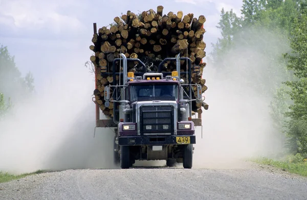 Rejestrowanie Samochodu Ciężarowego Wprowadzanie Obciążenia Drewna Iglastego Hinton Alberta Kanada — Zdjęcie stockowe