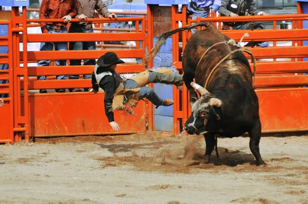 Cowboy Ρίχνονται Από Ταύρο Luxton Pro Rodeo Βικτώρια Βανκούβερ Νησί — Φωτογραφία Αρχείου