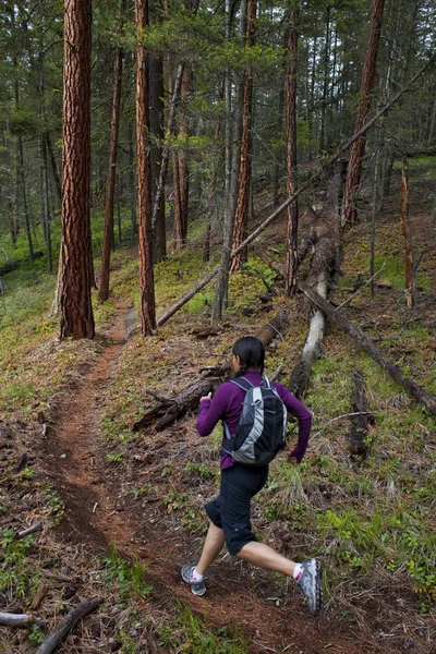 Sendero Mujer Corriendo Bosque Penticton Columbia Británica Canadá —  Fotos de Stock