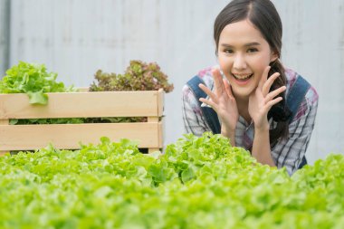 Hidroponik yeşil ev çiftliği. Mutlulukla gülümseyen çekici Asyalı kadın sahibi gülümsüyor. Kendine güvenen bir gülümseme.