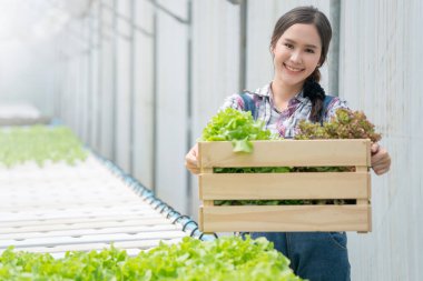 Hidroponik yeşil ev çiftliği. Mutlulukla gülümseyen çekici Asyalı kadın sahibi gülümsüyor. Kendine güvenen bir gülümseme.