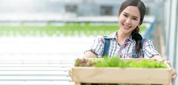 Hidroponikus Zöld Ház Farm Boldogsággal Mosolygó Vonzó Ázsiai Női Tulajdonos — Stock Fotó