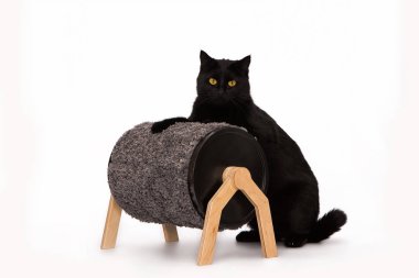 Siyah kedi ve tırmalamak posta üstünde beyaz bir arka plan