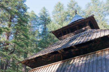 Manali, Hindistan - Hidimbi Devi Tapınağı. Manali, Himachal Pradesh, Hindistan 'daki ünlü bir Hindu tapınağı..