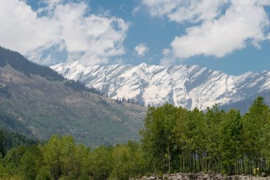 Manali, Hindistan - Manali 'deki Himalaya dağları, Himachal Pradesh, Hindistan.