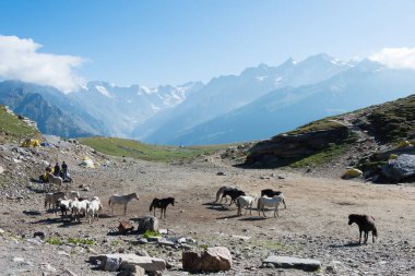 Himachal Pradesh, Hindistan - Rohtang La (Rohtang Pass) Manali, Himachal Pradesh, Hindistan. Rohtang La deniz seviyesinden yaklaşık 3978 metre (13051 feet) yükseklikte yer almaktadır..